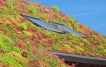 Norwich living roof systems